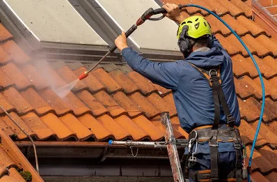 Démoussage et hydrofuge de toiture à Bizeneuille